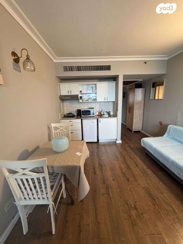 דוד אלעזר 10