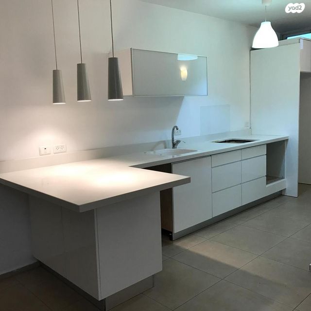 מניה וישראל שוחט 