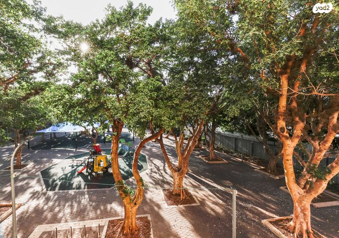 דירה, ברוך קרוא, נווה גולן, יפו ג', תל אביב יפו