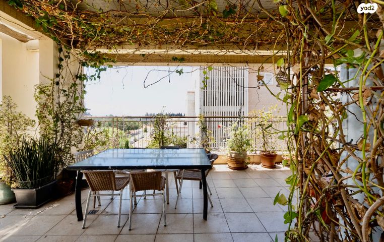 דופלקס, הראשונים, כפר סבא