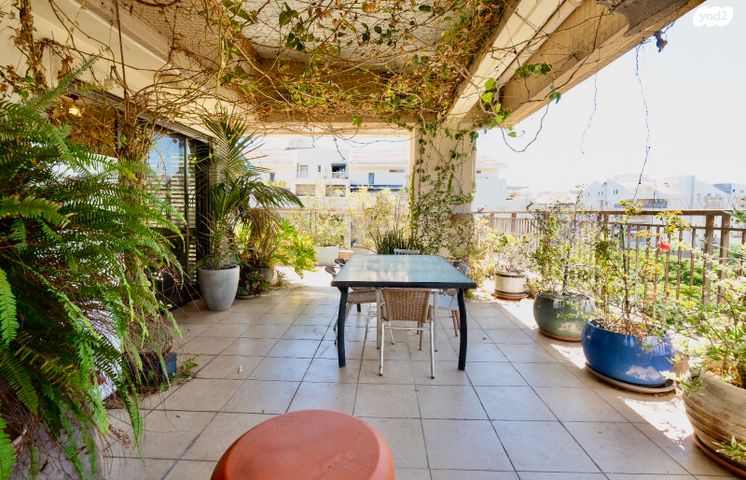 דופלקס, הראשונים, כפר סבא