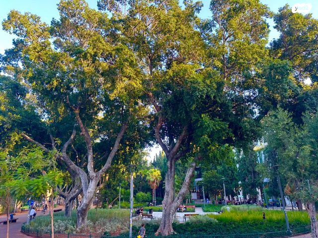 דירה, טשרניחובסקי, לב תל אביב, לב העיר צפון, תל אביב יפו