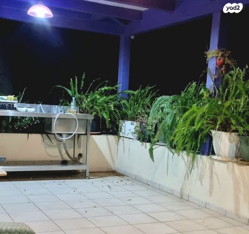 משק חקלאי/ נחלה, שעל