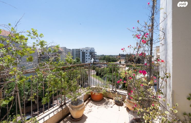 דופלקס, הראשונים, כפר סבא