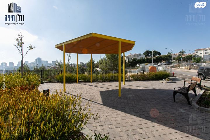 דירה, עמירם חרלף, אחוזה, חיפה