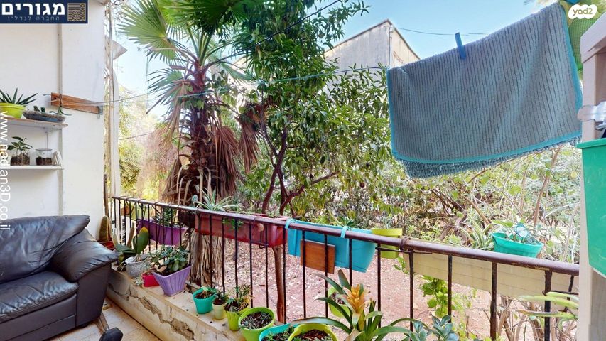 דירה, אילת, נווה שאנן, חיפה