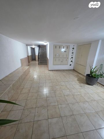 דירה, ברנדייס, רמב"ם, ראשון לציון