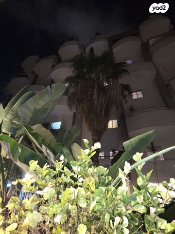 דופלקס, בבלי, תל אביב יפו