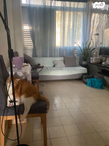 דירה, התורן, חיפה