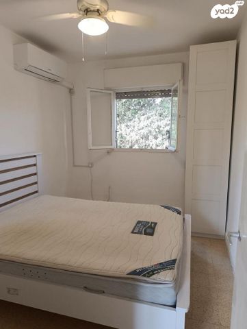 דירה, אינטרנשיונל, חיפה