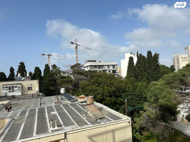 שדרות ודג'ווד 