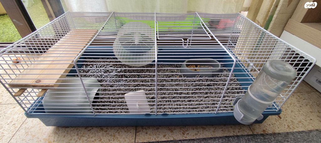 תמונת מודעה - חיות מחמד