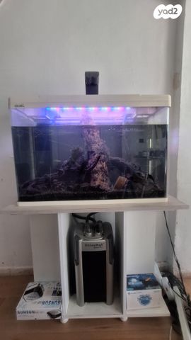 תמונת מודעה - חיות מחמד