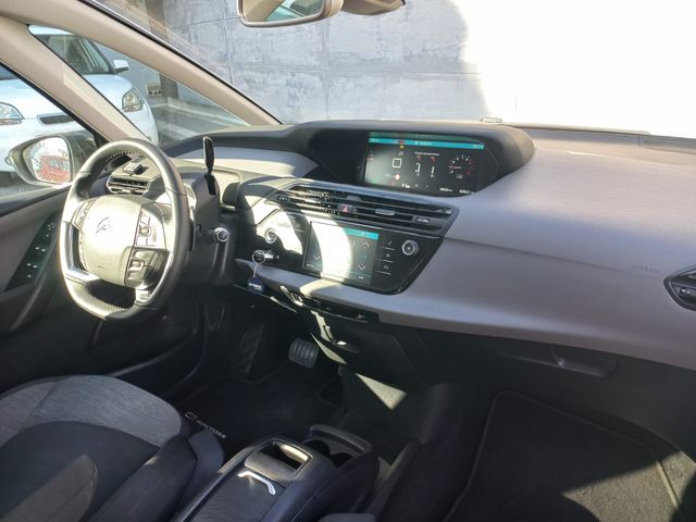 סיטרואן C4 פיקאסו