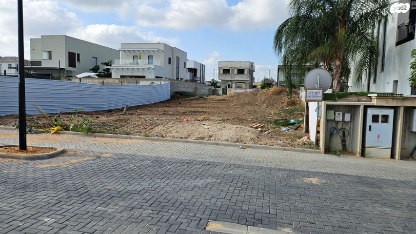 ידיד החולות 1