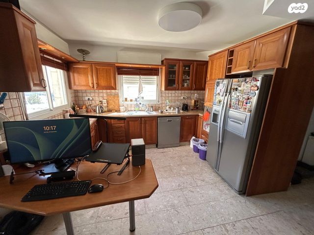 אריה דולצ'ין 