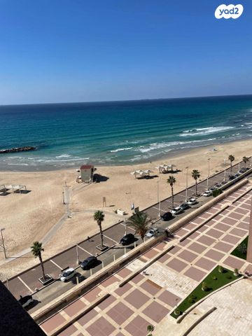 דוד אלעזר 10