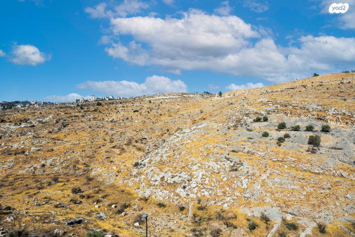 דירה, יצחק רפאל, חומת שמואל, הר חומה, ירושלים