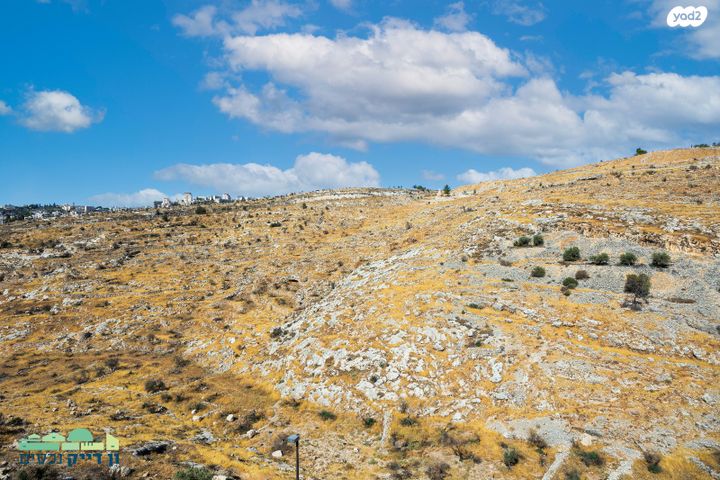 דירה, יצחק רפאל, חומת שמואל, הר חומה, ירושלים