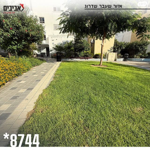 דירה, שדרות