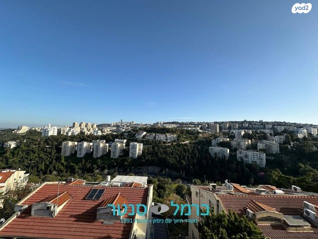 דירת גן, ורדיה, חיפה