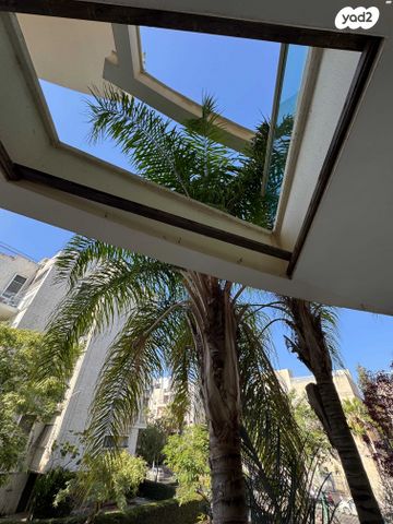 דירה, פתח תקווה