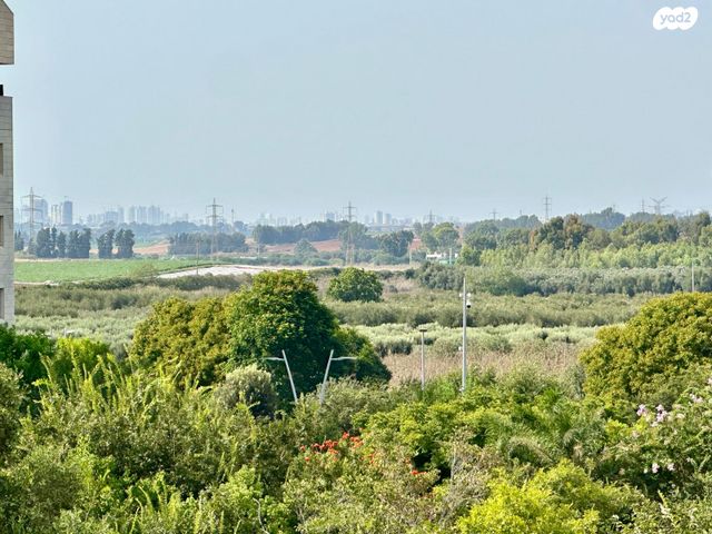 דירה, מרכז, כפר סבא