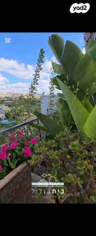 בית פרטי/ קוטג', מעונה, מעונה