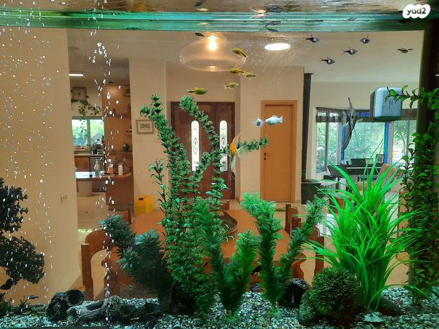 בית פרטי/ קוטג', יסוד המעלה