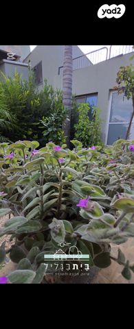 בית פרטי/ קוטג', מעונה, מעונה