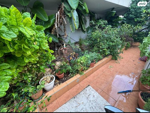 דירת גן, הרצל, עיר, מרכז העיר, נהריה