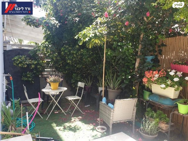 טריפלקס, שאר העיר, רמת ישי