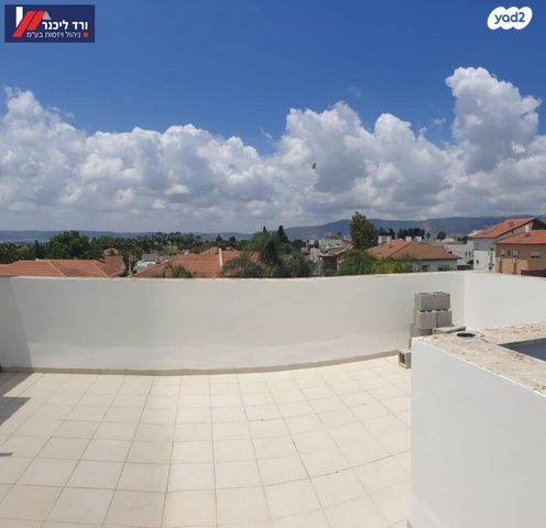 טריפלקס, שאר העיר, רמת ישי