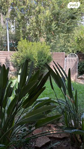 דו משפחתי, רמת החייל, תל אביב יפו