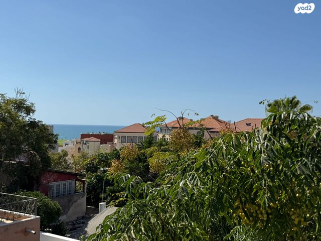 עבד אל ראוף אלביטאר 