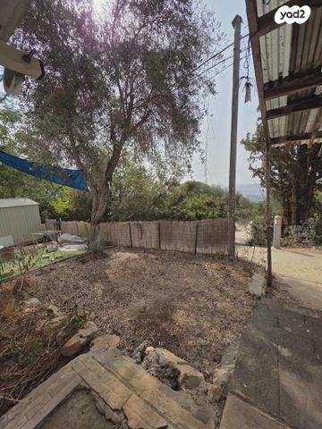 דירה, הזית, לוטם, לוטם