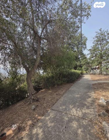 דירה, הזית, לוטם, לוטם