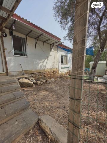 דירה, הזית, לוטם, לוטם