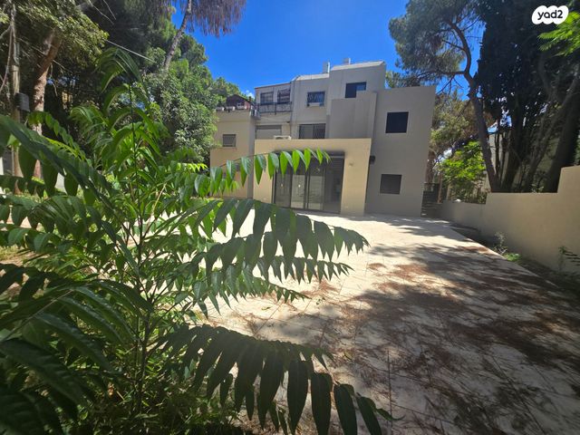 בנימין ד'ישראלי 