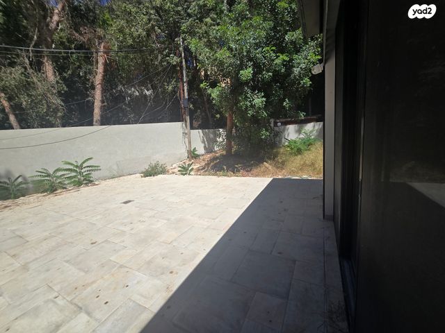 בנימין ד'ישראלי 