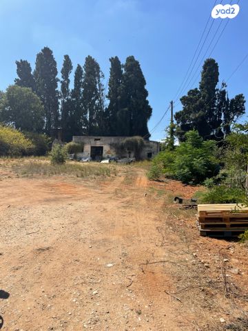 רבי עקיבא 11