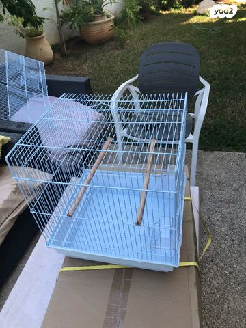 תמונת מודעה - חיות מחמד