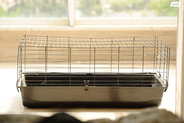 תמונת מודעה - חיות מחמד