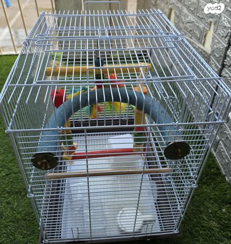 אביזרים | כלוב האכלת יד