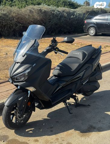 סאן יאנג ג'וי-מקס Z-300