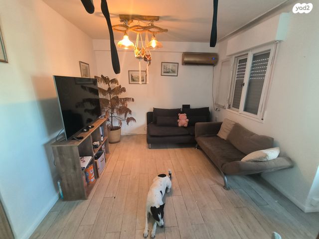 זלמן שניאור 24