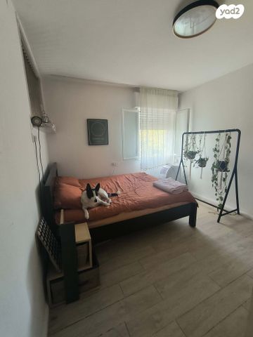 דירה, זלמן שניאור 24, רמות רמז, חיפה