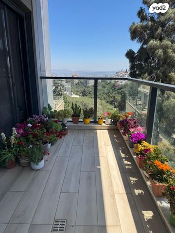 דירה, הספורט, מרכז הכרמל, חיפה