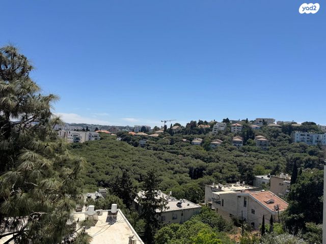 דירה, הספורט, מרכז הכרמל, חיפה