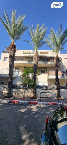 דירת גן, דן 3, מרכז העיר, סביניה, הוותיקה, קרית ביאליק